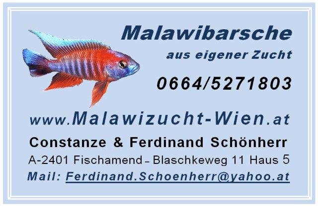 www.malawizucht-wien.at